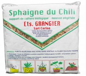 Sphaigne du Chili 1 KG